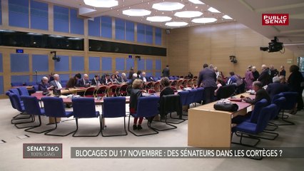 Réactions des sénateurs sur le mouvement du 17 novembre