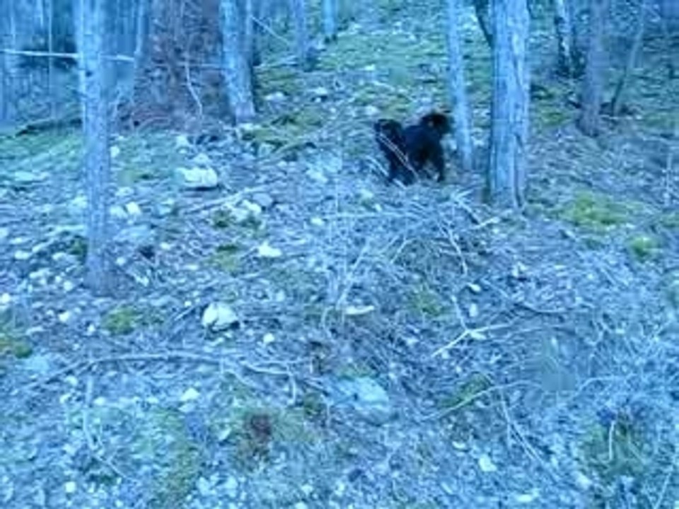 MVI_1789