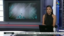 teleSUR Noticias: Caravana de migrante llega a Jalisco, en México