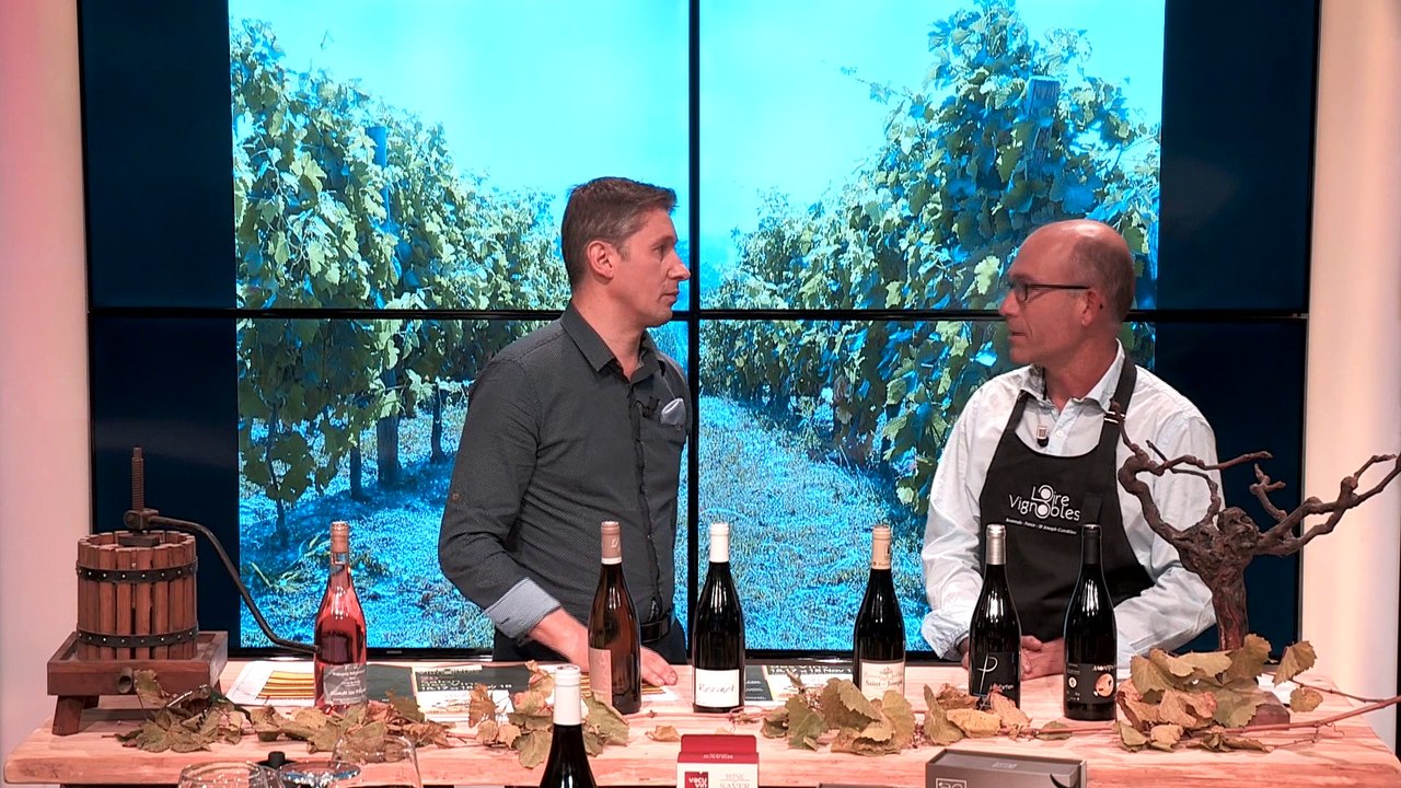 Goûtez aux terroirs viticoles Ligériens