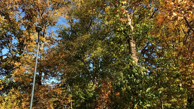 La pétanque adaptée aux déficients visuels