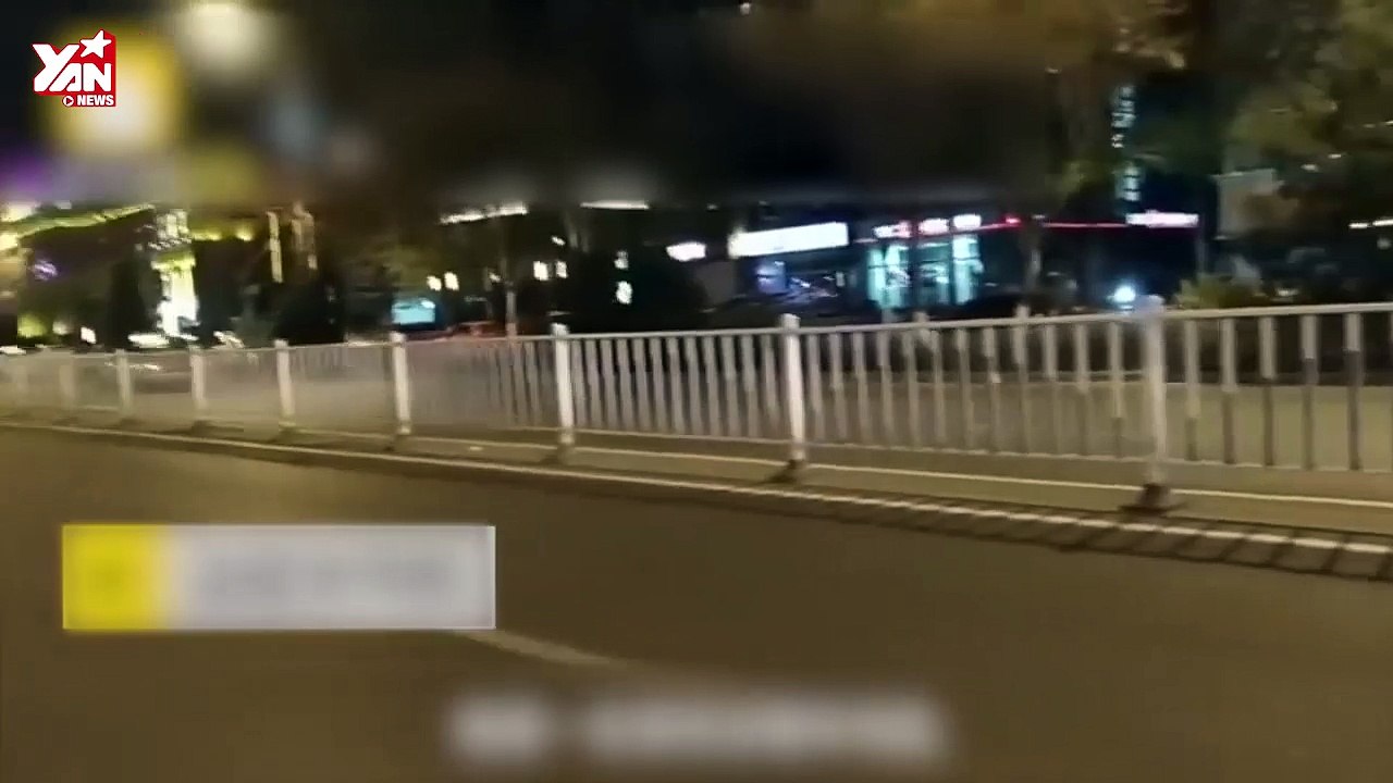 Chú chó trung thành ngồi đợi 80 ngày tại nơi cô chủ thiệt mạng