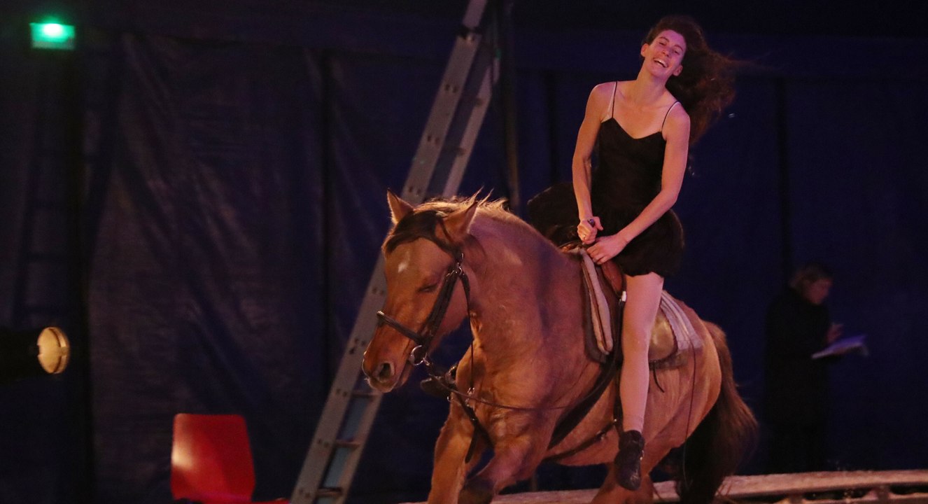 Un spectacle équestre créé spécialement pour Bé...