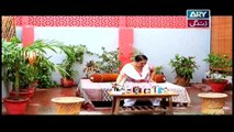 Bubbly Kya Chahti Hai  Episode 35 & 36 - on ARY Zindagi in High Quality 13th November 2018