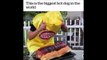 Voici le plus gros hotdog au monde