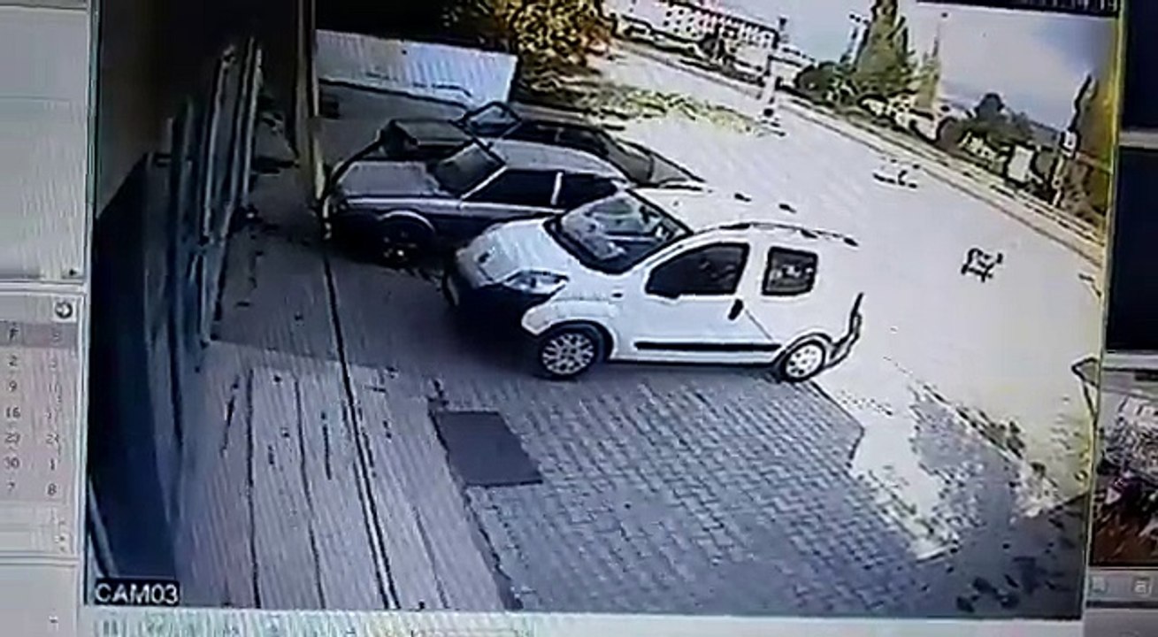 Cani sürücünün ezdiği yavru köpek öldü, anne köpek yaralı