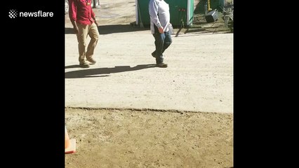 Man scares colleague with dead rattlesnake