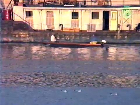 Nada Topcagic 1990 - Ako mi srce prepukne