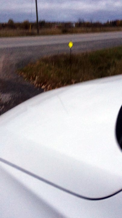 Cars Fail to Stop for School Bus with Red Lights Flashing