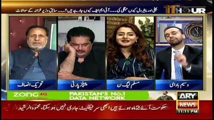 All major issues prevalent in country are due to PTI- Maiza Hameed