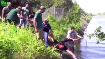 How people Saved An elephant Faith in Humanity restored. An elephant stucked by a canal saved by humans