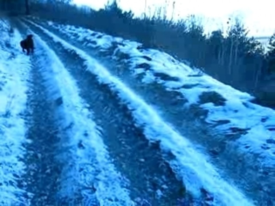 MVI_1803