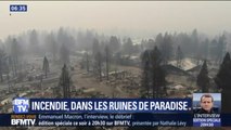 Après le passage de l'incendie 