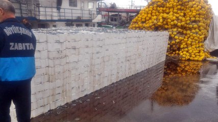 Balık Halinde Boy Denetimine Uymayan 22 Ton Balığa El Konuldu