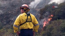 - Kaliforniya'daki Orman Yangınlarında Ölü Sayısı 48'e Yükseldi