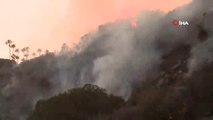 Kaliforniya'daki Orman Yangınlarında Ölü Sayısı 48'e Yükseldi