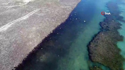 150 yıllık mezarlık sular çekilince gün yüzüne çıktı