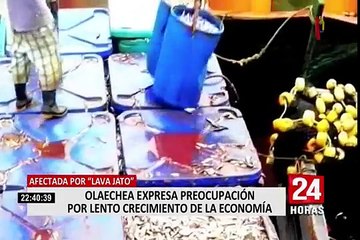 Pedro Olaechea afirma que hay signos de cambios de modelo económico en el Gobierno