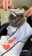 Where am I? What are you doing to me?