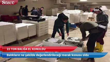 İstanbul’da tonlarca balığa el konuldu