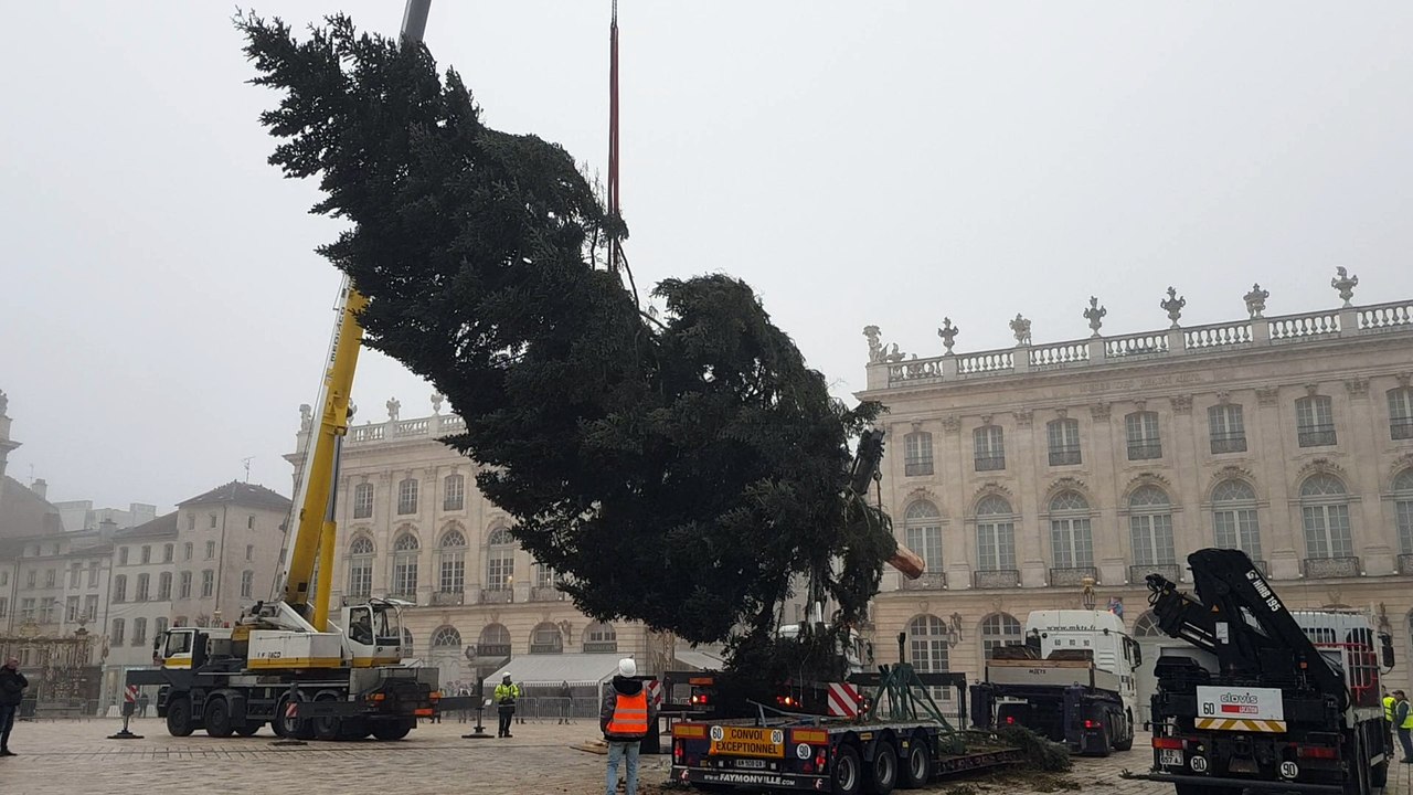 Le sapin de Noël est arrivé place Stanislas à Nancy
