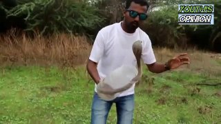 भारत देश के ये 4 सांप सबसे जहरीले होते है. 4 Most venomous snake from Indian