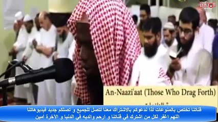 قراءة مميزة برواية الدوري عن الكسائي