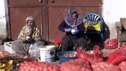 'Ekmeklerini' soğandan çıkarıyorlar - AFYONKARAHİSAR