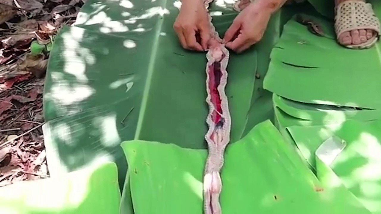 Mổ bụng rắn chết bất thường, thanh niên sướng rơn vì tìm đươc cả kho báu giấu trong bụng