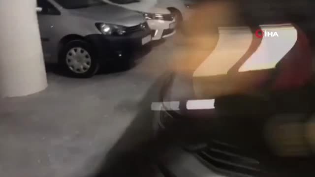 Polis, Dedektör Köpekli Uyuşturucu Operasyonunda Skunk Ele Geçirdi