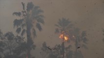 Incendios de California siguen creciendo en plena búsqueda de desaparecidos