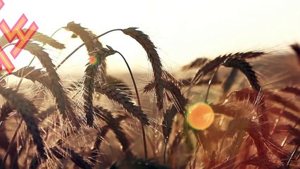 온라인카지노(二/」∫ DMS64。CoM ∫「/二)온라인카지노