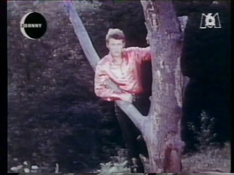 Johnny Hallyday Je m'accroche à mon rêve La nuit Johnny M6 - 25 décembre 1995