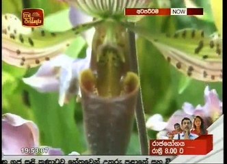 Atapattama - 14th November 2018