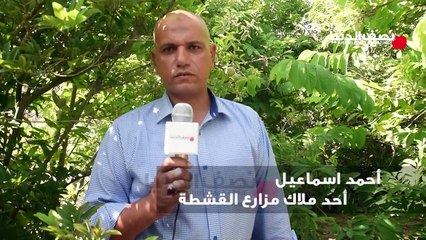 _القشطة_ للشفاء من الأورام و سرطانات الثدي والرحم