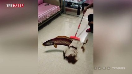 Çinli kum sanatçısının kafa karıştıran 3D resimleri