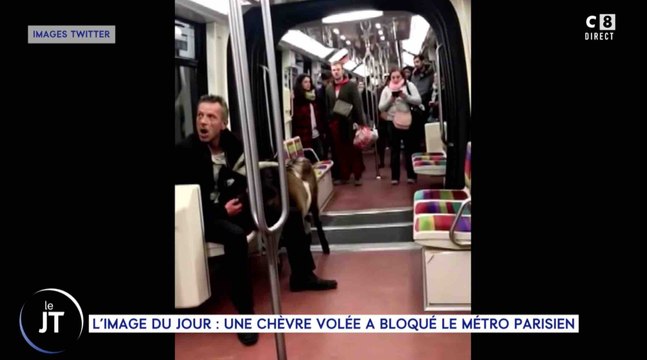 Paris : il vole des chèvres et les emmène dans le métro - ZAPPING ACTU DU 14/11/2018
