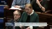 Irish Politician Holds Up Underwear To Raise The Issue Of 'Rape Myths'