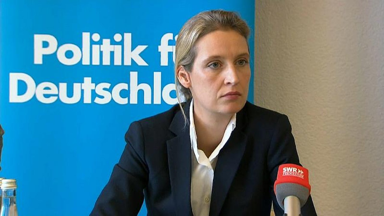 Justiz ermittelt: AfD kaufte Facebook-Likes mit der Schweiz-Spende