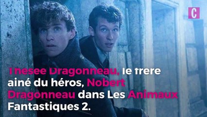 Callum Turner, le beau gosse des Animaux Fantastiques