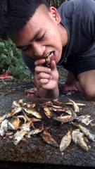 【Daily-asia-funny】Roasting pig's hoof with iron bucket