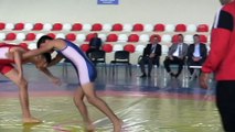 Hassa'da güreş turnuvası düzenlendi - HATAY
