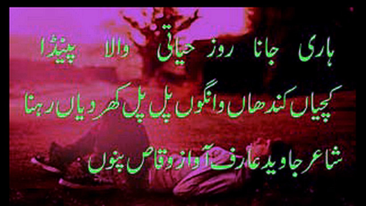 hari jana hayati punjabi sad poetry judie nafrat mohabbat shayari vioce waqas pannu