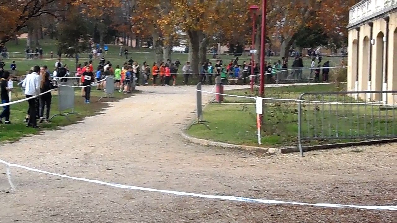 Cross