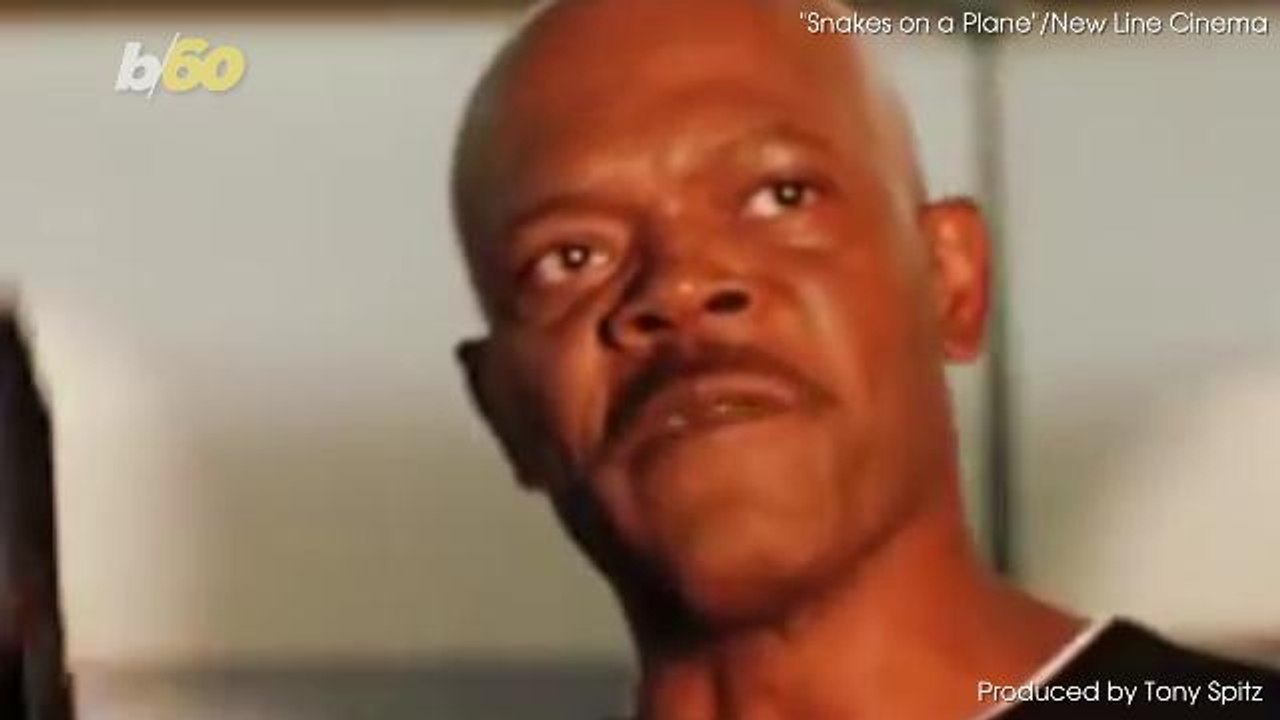 No Snakes on This Plane After Boy's Stuffed Animal Was Confiscated by Airport Security