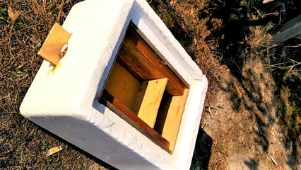 Ana Arı Üretimi ve Kovanı