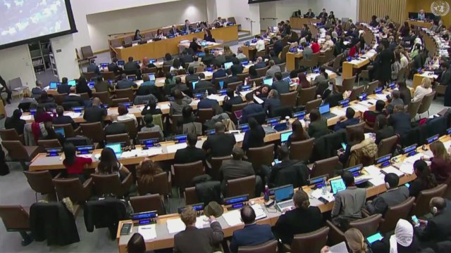 유엔, 北인권결의안 14년째 채택...정부 동의 / YTN