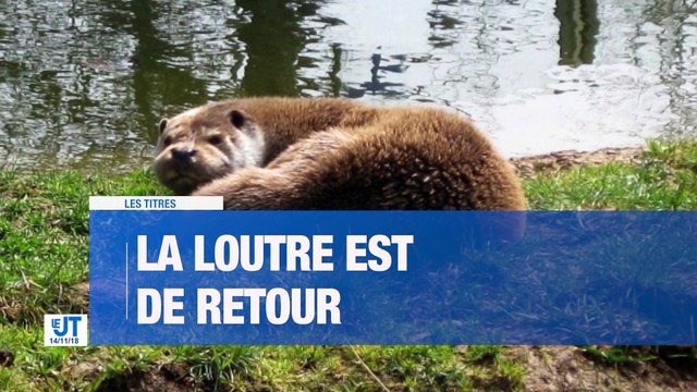 Info/Actu Loire Saint-Etienne - A la Une: Boulanger, Maison du monde ou encore Mango…le futur centre commercial STEEL se remplit à Saint-Etienne. Le promoteur du projet parle d'un taux de remplissage de 85% avec 60% d'enseignes inédites.