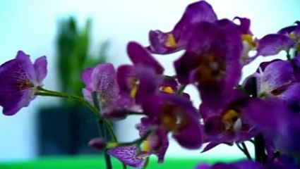 Embarrassing Bodies S03 E02