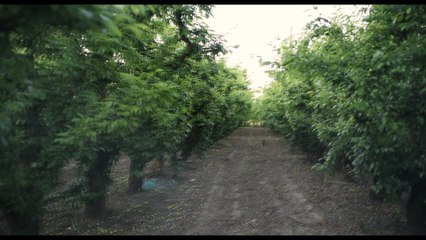 Testing Nikon  D750 and MC Mir 24H